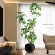 Duck foot wood simulated green plant landscaping indoor large floor-standing landscape tree living room advanced bionic plant decorative ornaments