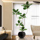 Simulated plant black diamond floor-standing potted indoor large-scale bionic green plant ornaments living room light luxury decorative flower fake tree