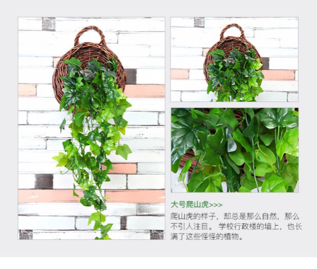 Cây mô phỏng hoa giả mây nho cây xanh tường trong nhà ống nước điều hòa không khí trang trí lá xanh treo tường cây nhện - Hoa nhân tạo / Cây / Trái cây bình hoa giả