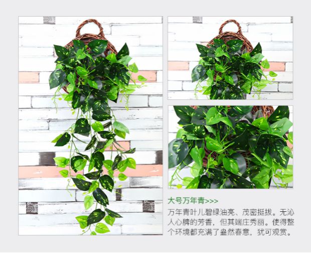 Cây mô phỏng hoa giả mây nho cây xanh tường trong nhà ống nước điều hòa không khí trang trí lá xanh treo tường cây nhện - Hoa nhân tạo / Cây / Trái cây bình hoa giả
