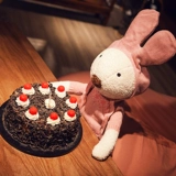 Кукла, плюшевый кролик, маленькая игрушка