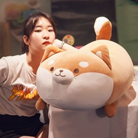 Fat Shiba Inu (вниз по хлопковой начинке)