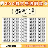 200 Большой прозрачной модели V3 [ЗАМЕЧАНИЯ Имя]