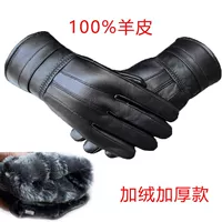 Овчина и бархатное утолщение --- Мужчины [Исключительно для Северо-Восточного региона]