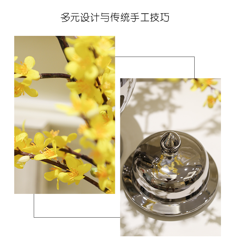 The General light European - style key-2 luxury furnishing articles contracted tank vase ceramic piggy bank caddy fixings candy jar decoration decoration