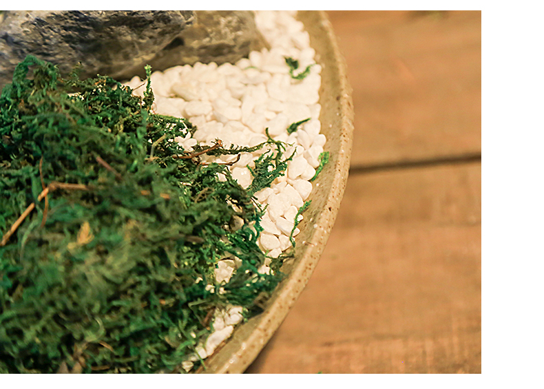 Checking out retro household adornment the plants creative small place jingdezhen indoor sitting room dining - room imitation mesa potted the plants