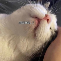 Make up the shipping link to make up how many shots How many oh ~ Make up ten shots ten and so on Thank you baby~