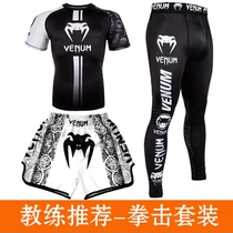  Venom boxing training suit Muay Thai shorts mens UFC sanda fighting MMA fitness short-sleeved three-piece support custom
