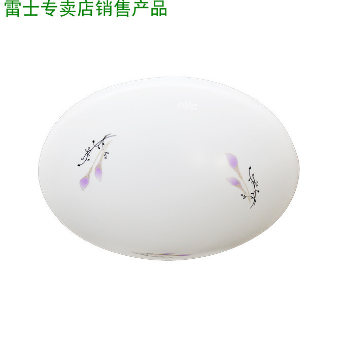 Thunder suck light LED colour temperature 6500K minimalist modern wind iron acrylic