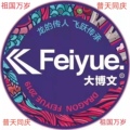 Feiyue大博文