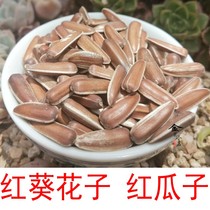 New Yunnan Dali raw melon seeds red sunflower seeds Red melon seeds sunflower seeds snack nuts 500g sweet