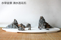 Water and dry bonsai stone Landscape stone Lingbi stone dripping lotus stone Plant bonsai landscape Bonsai stone 10 yuan a catty