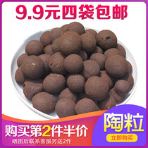 Ceramsite orchid special planting bottom fleshy ceramsite pavement stone fortune tree breathable potted flower fertilizer granular soil