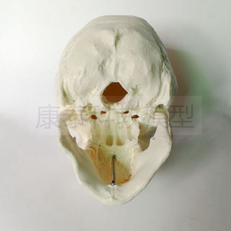 /