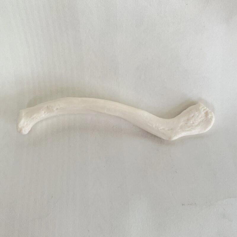 /