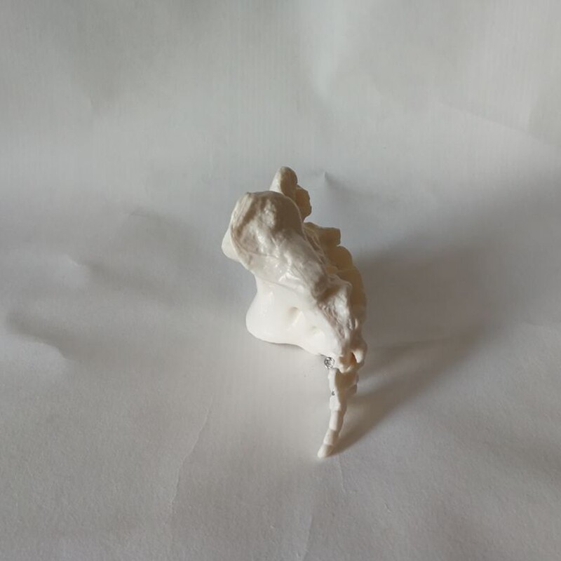 /