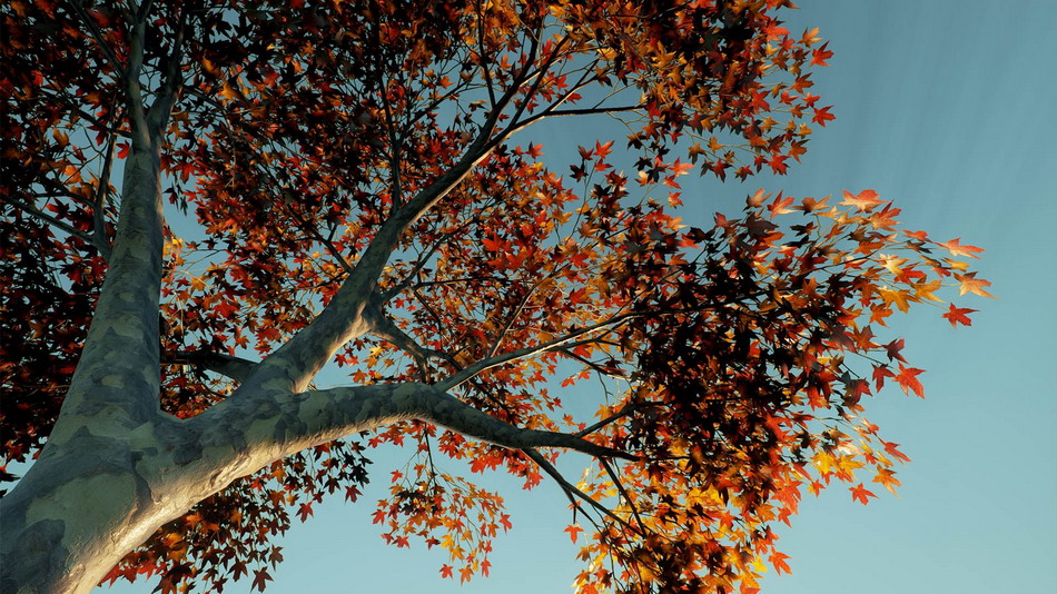 在建筑可视化创建的XBH TREE Vol. 1 - 虚幻引擎商_9014a222.jpg