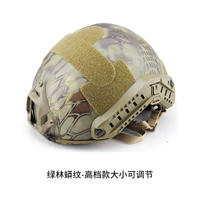 Руководитель модели с высоким размером модели с зеленым лесом