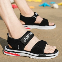 8822/черно -белый