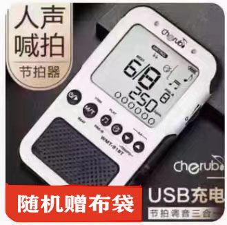 Little Angel. Inno Musical Instruments, Vocal Music, Electronic Violin, Piano, Drum Set, Metronome, Payment for 1000 People