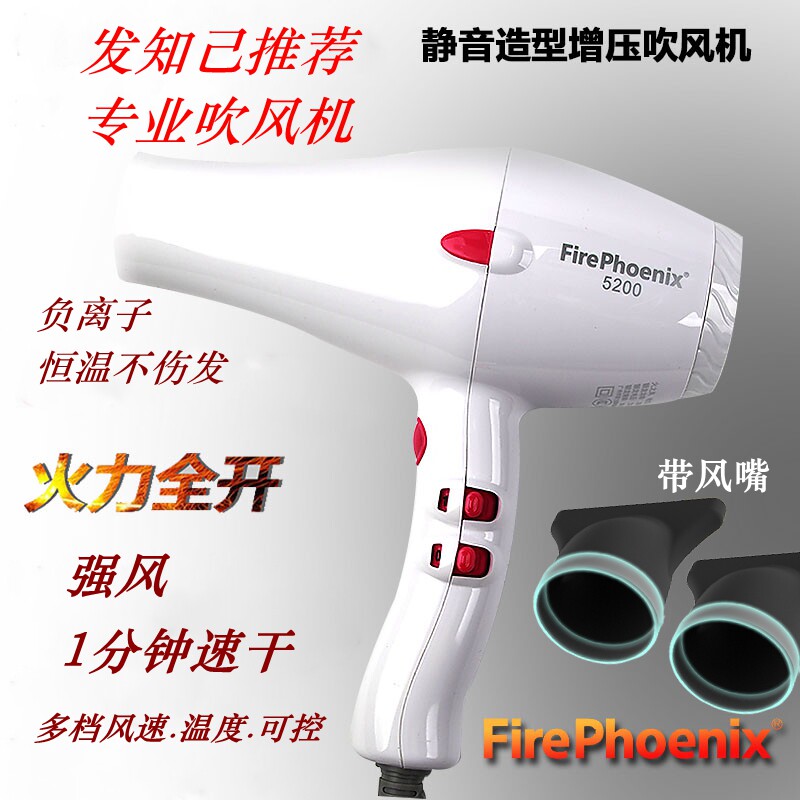 Hair Dryer Hair Salon Special Family use electric blow light Blow Light NEGATIVE ION BLOW DRY FAST IMPORTED MOTOR SUPER SILENT
