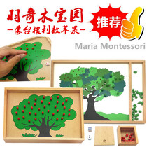 Montessori childrens early education puzzle mathematics teaching aids number Apple boys and girls kindergarten Enlightenment toys wooden