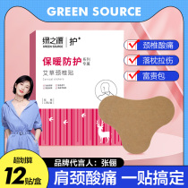 Green source Agrass cervical spine stickup with moxibustion patch rich and expensive bag patch fever patch shoulder neck patch guard shoulder neck warm neck for home