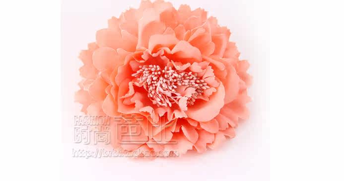 Broche femme en Fils de soie - Ref 1185617 Image 24