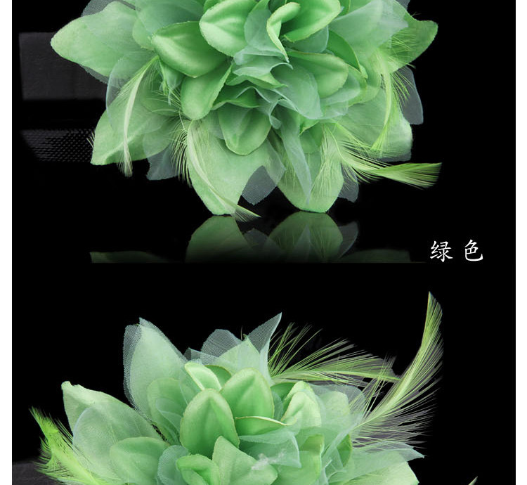 Broche femme en plume - Ref 1173678 Image 26