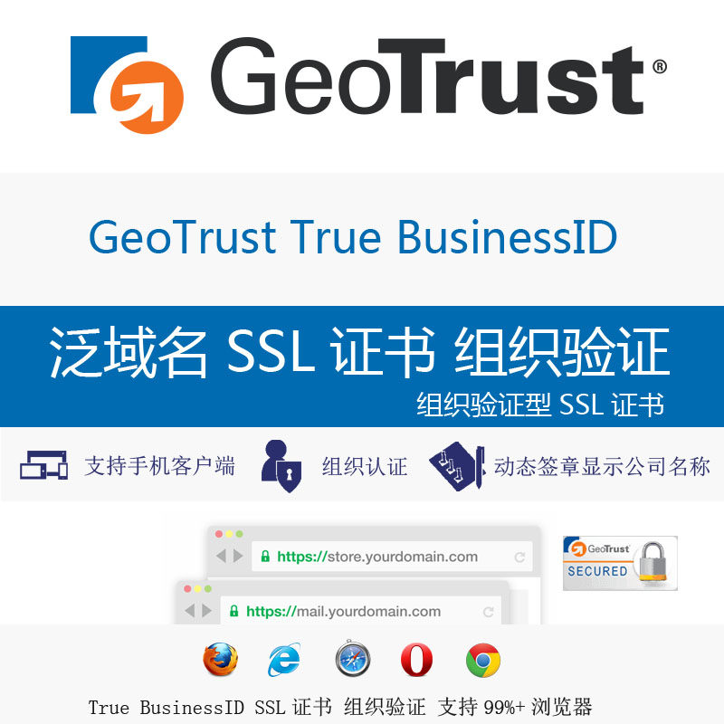 GeoTrust True BusinessID Wildcad Pan Domain Name Multi-Domain Domain Name SSL Organization OV Validation