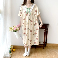 Абрикос Роуз-JBR134291