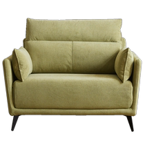 Shuanghu modern simple fabric sofa bed dual-purpose telescopic folding bed small apartment living room multi-functional single 211