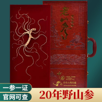 Wild mountain ginseng Changbai Mountain ginseng high-end soaked wine Northeast specialty wild forest old ginseng gift box first-class ginseng