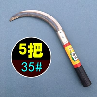 Шоколадный