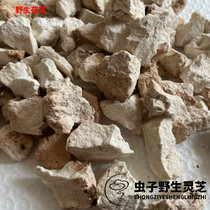 Wild Poria white poria wild Poria medicinal bacteria wild Poria 250g