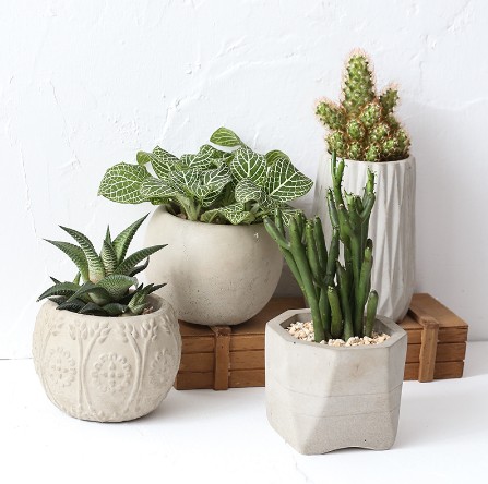 Pinqi Mold Creative Geometric Polygonal Concrete Flower Pot Fleshy Flower Pot Cement Pen Box Silicone Mold Custom