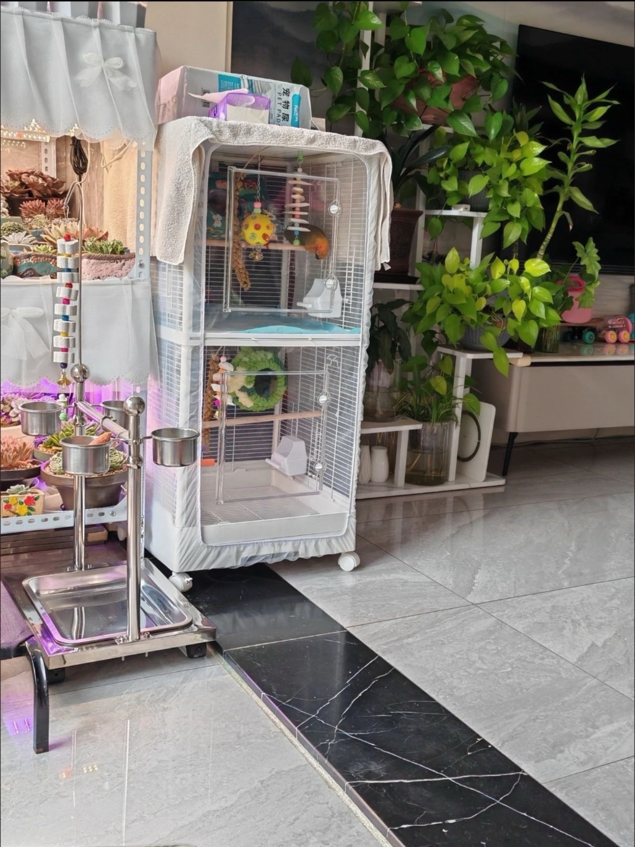 Кейдж костюм 鸟笼防蚊网防溅网防撒食罩鸟笼防羽毛网罩达洋粤迪优嗖，支持定做 Other