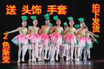 The 9th Xiaohe styleThe sky of the grasschildrens dance performance costume Stage performance performance costume