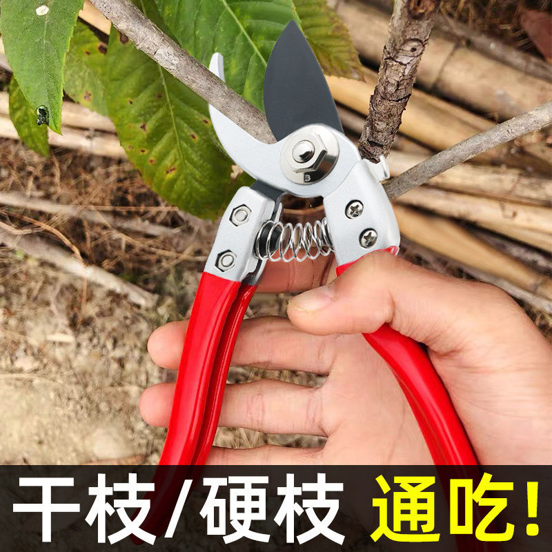 园艺剪枝剪刀修枝剪果树不锈钢园林花艺剪子工具修剪树枝剪刀花剪