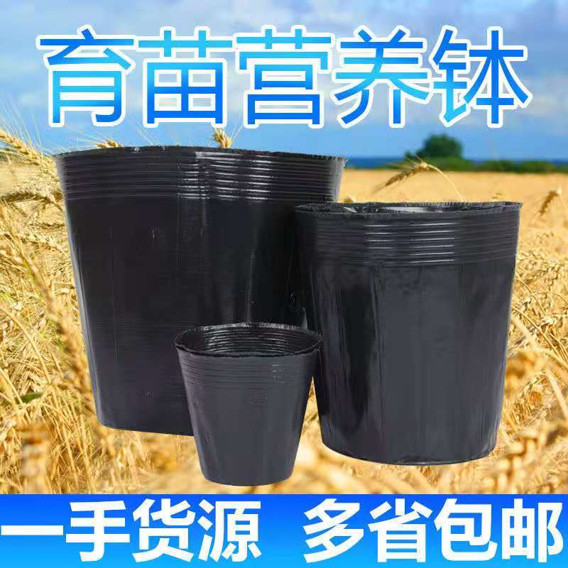 nutrient bowl seedling basin plastic nutrient cup seedling cup thickened plastic small nutrient bag seedling bag seedling cup