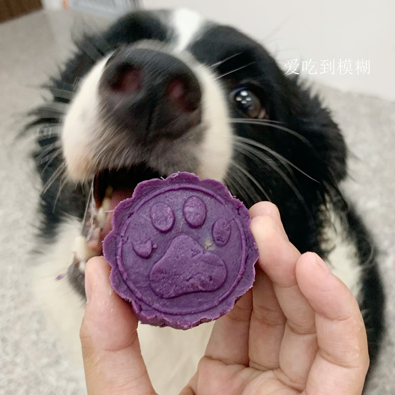 Pet Moondding Dog Cake Bánh quy Vịt Vịt Bò Bánh Jane Trứng Lòng đỏ Canxi Đào tạo Phần thưởng Đồ ăn nhẹ Mèo Tổng quát - Đồ ăn vặt cho chó thức ăn cho chó con