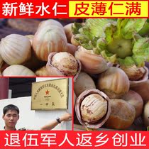 2024 fresh green-skinned water kernels large hazelnuts green-skinned water kernels Northeast Huanren specialty peeled and peeled nuts
