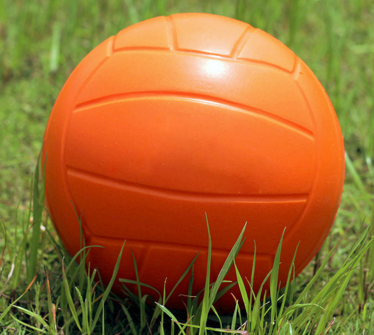 Ballon de volley-ball - Ref 2010963 Image 10