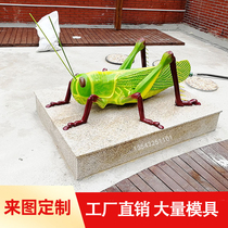 Outdoor fiberglass locust model biological garden model snail polyp planarian roundworm starfish paramecium