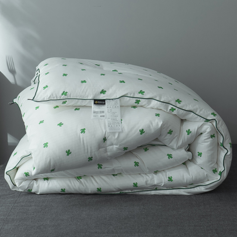 Winter thickened warm little fresh spring autumn quilt by winter quilt quilt core single student Dormitory 1 2m meters bed cotton quilted by 