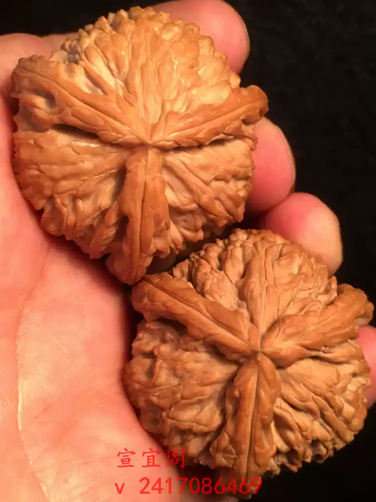 ❤️No.438遊ぶクルミ 文玩核桃 精配三角白狮子 闷尖白狮子核桃-闷尖白