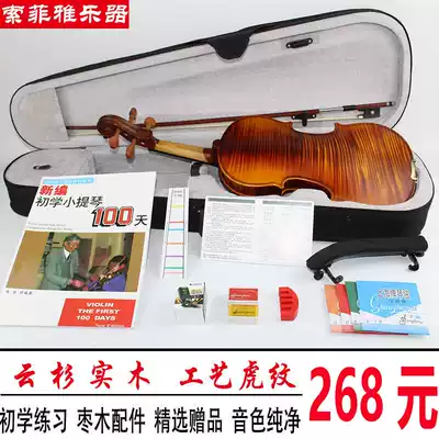 Full-hand craft pattern violin beginner test test practice playing violin adult children's violin