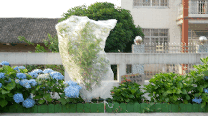 Plant Protection Bags