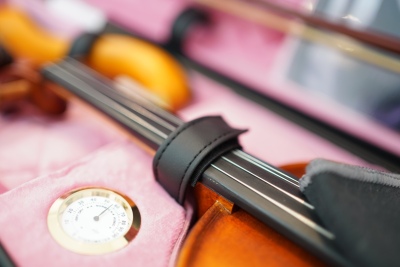 RAAN Harmonica Box Customised Imported Velvet Interior Dreamy Pink Top Grey