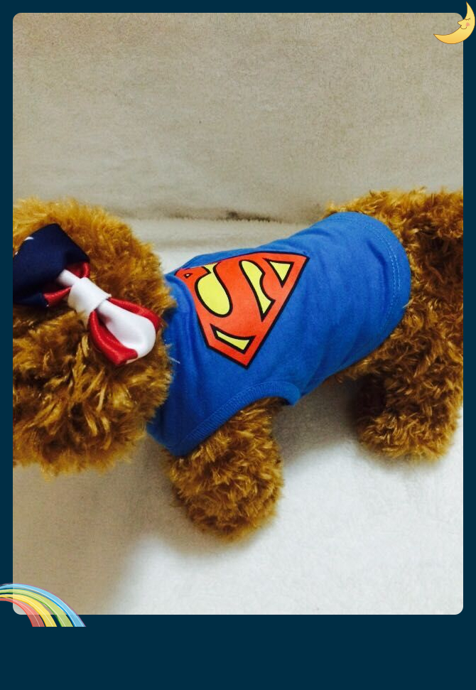 Quần áo chó mùa xuân và mùa thu Teddy vest Chihuahua hơn gấu con chó con quần áo cotton thoáng khí đặc biệt - Quần áo & phụ kiện thú cưng quan ao thu cung